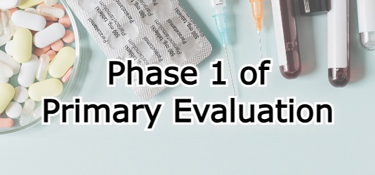 Phase 1 of Primary Evaluation