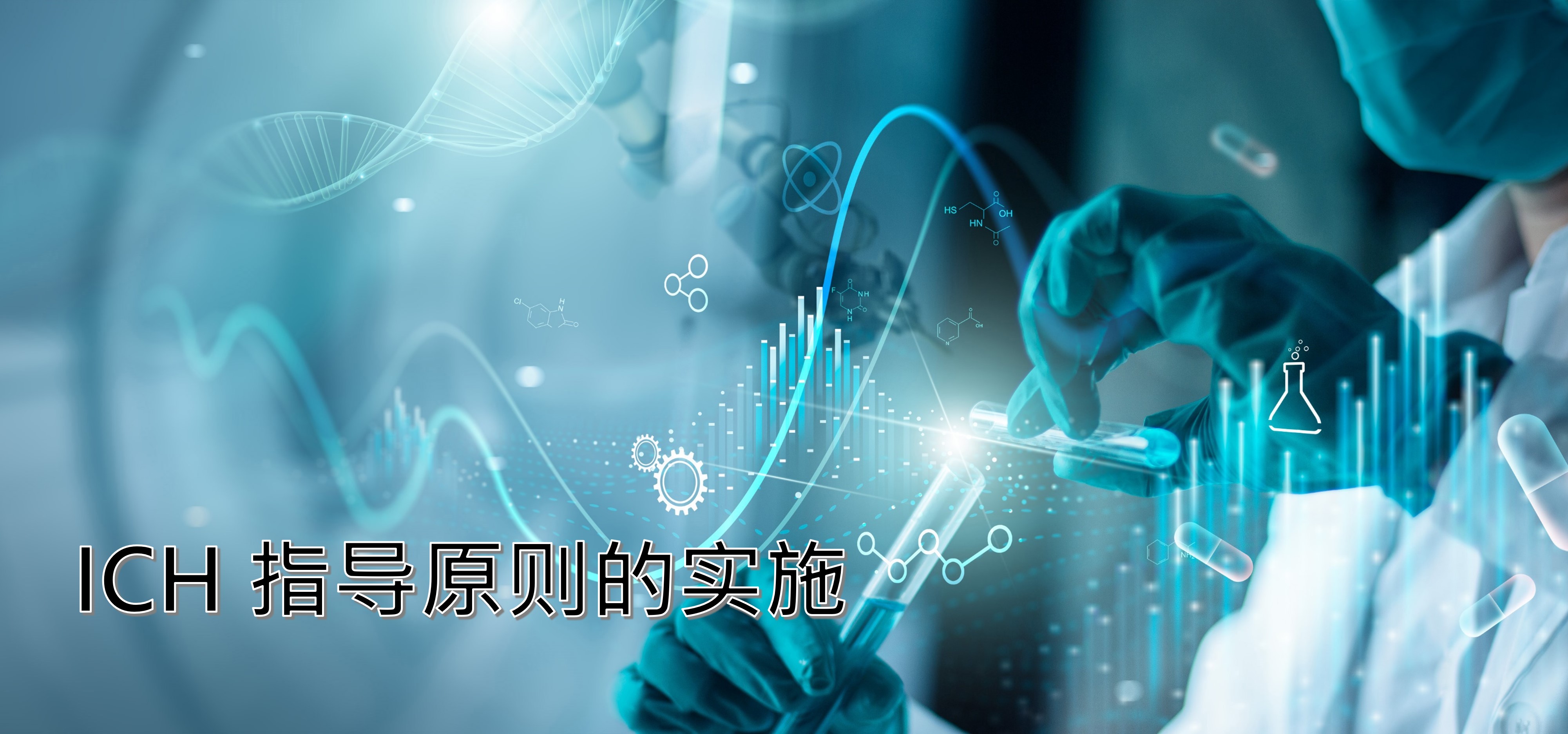 ICH 指导原则的实施